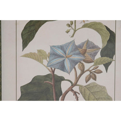 V2H6A1B301614B01879EA22F7B9EC585084R7429467P3