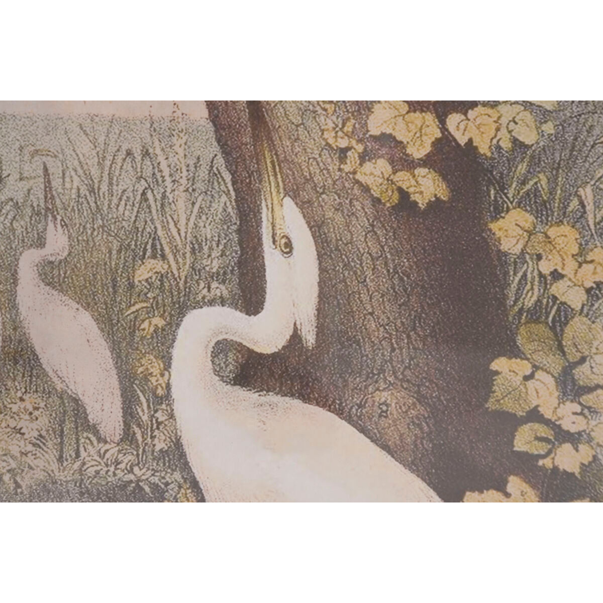 V2HA9D0DDEF9CB112B8C731B2D858FC7982R7431161P3