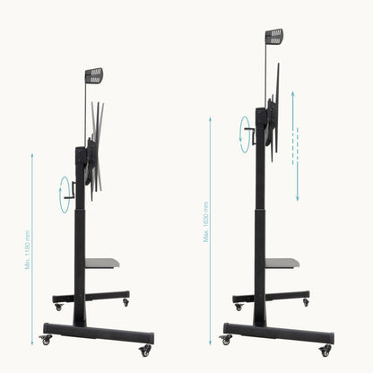 V4H77638147026A229C0C4DE460E9E9C41AR7414642P8