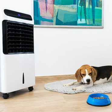 V12HEAA9BF26B50A8FF181A6798DA961959ER4153784P2