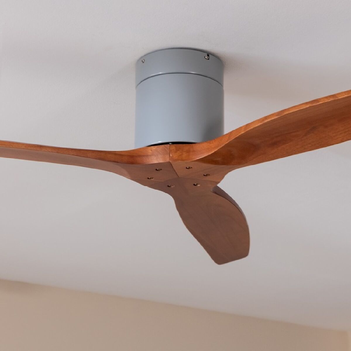 V3HAC50C13B2BD16019D1E814E5E22C7A47R5548166P2