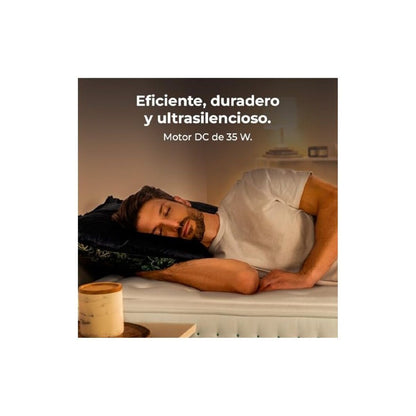 V5H6366293A0E17E52C3A4B1FA40B531EFBR7345438P4