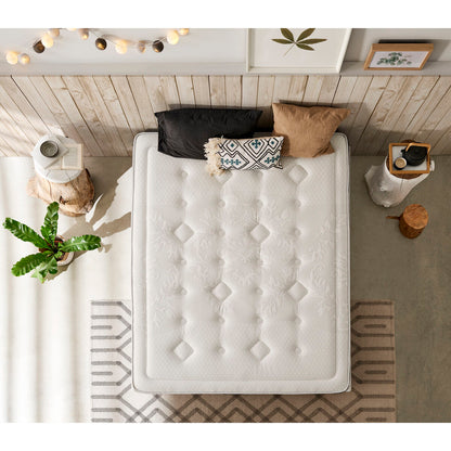 V11H50DAF72D27AC686F7E869C00197C4D31R6597575P4