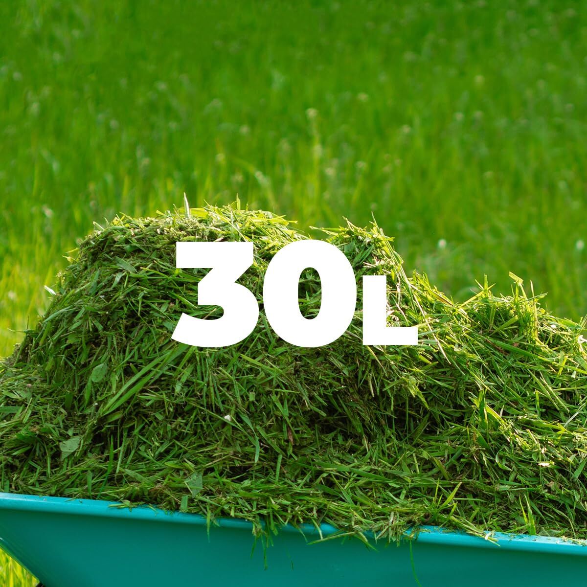 V2HCD367FB7F2F8A5DB8962E855CC3AABE1R7646439P9