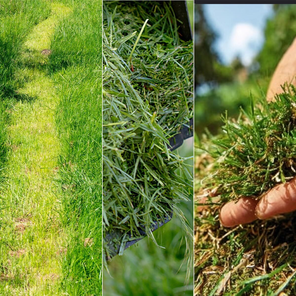 V2HB5CCFAFC458BFF0B77D1113B08B355E0R7646434P8