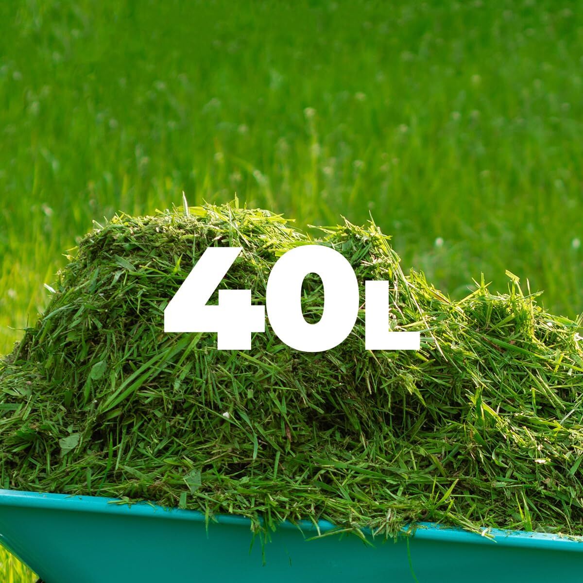 V2HA080CD8FCCC6432771288943DAA3D398R7646437P9