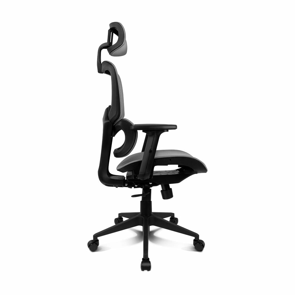 V3H0F91B1D336ADD06EF384EAE7506A83A5R7404215P8