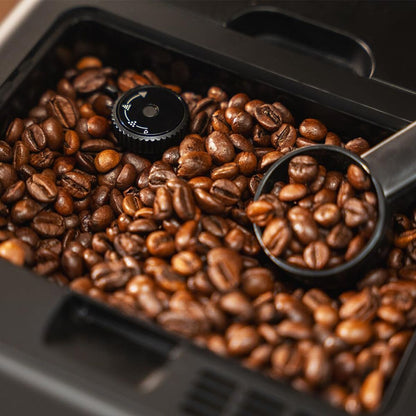 V2HEFF3742AE446BDA5D26697007A429FE5R7650421P8