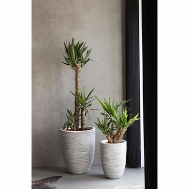 V4HA37B1191B2606D90E5D7B382074DA806R5081412P2