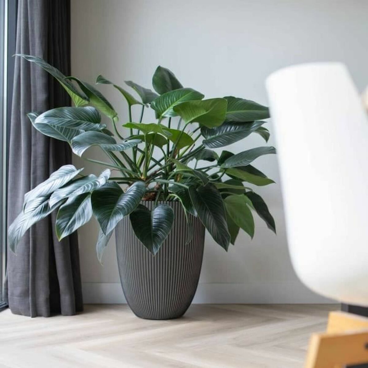 V6H4A64F1F80F8314374B8949CECF452ECFR5081460P3