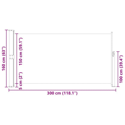 Seitenmarkise 160x300 cm Schwarz