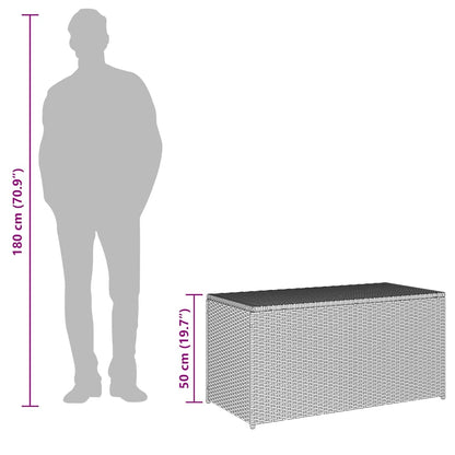 Gartenbox Poly Rattan 100x50x50 cm Grau