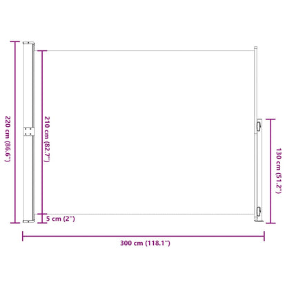 Seitenmarkise Ausziehbar 220x300 cm Grau