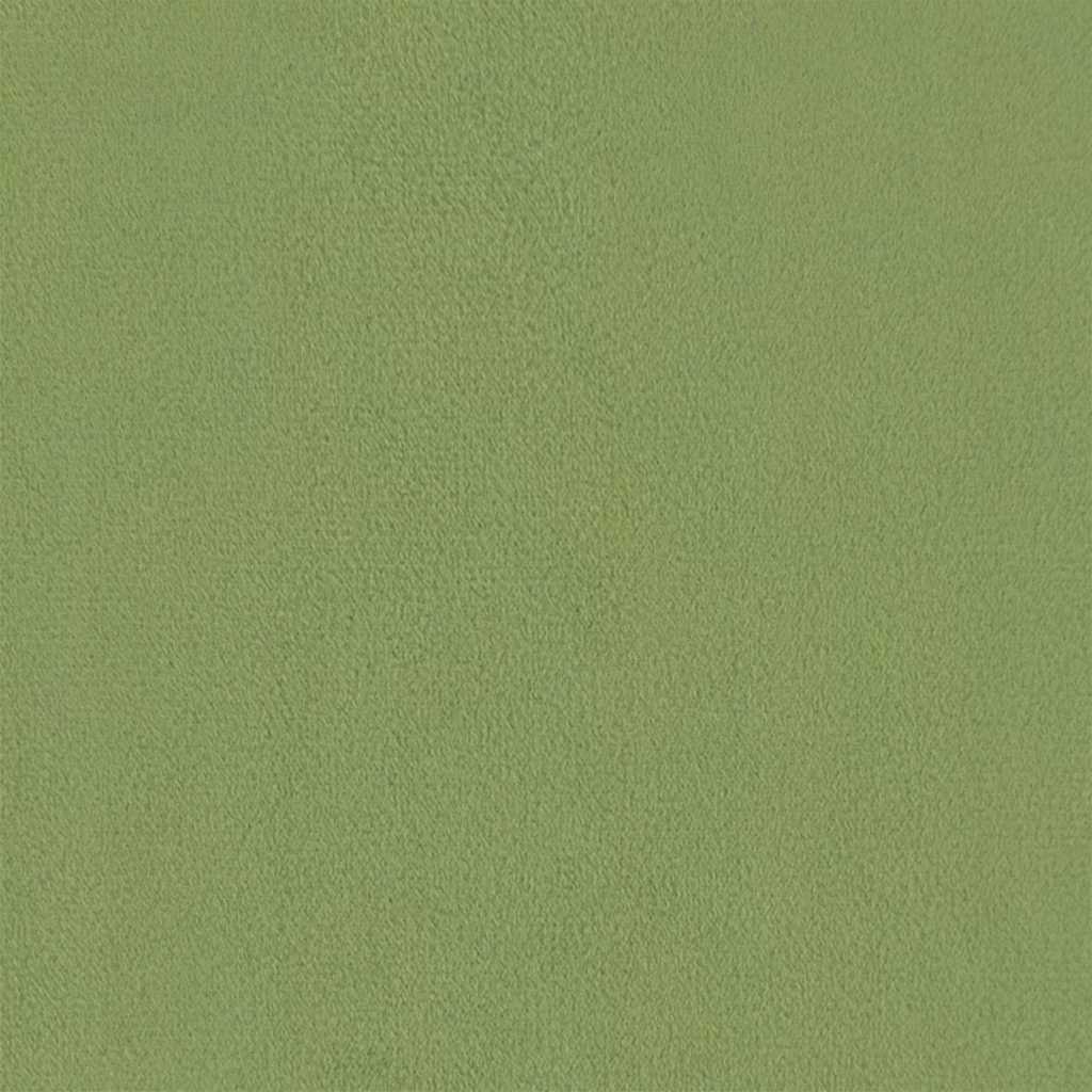 Relaxsessel Hellgrün Samt