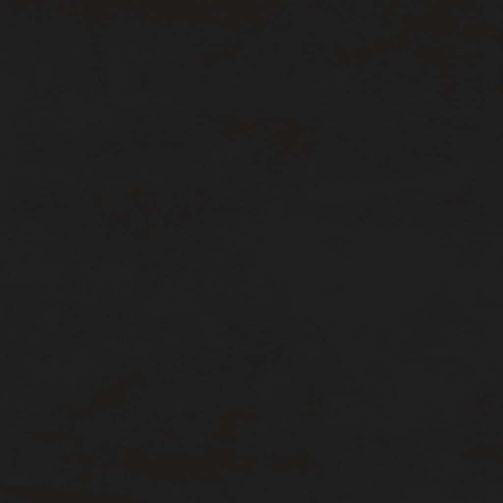 Bettgestell ohne Matratze Schwarz 100x200 cm Samt