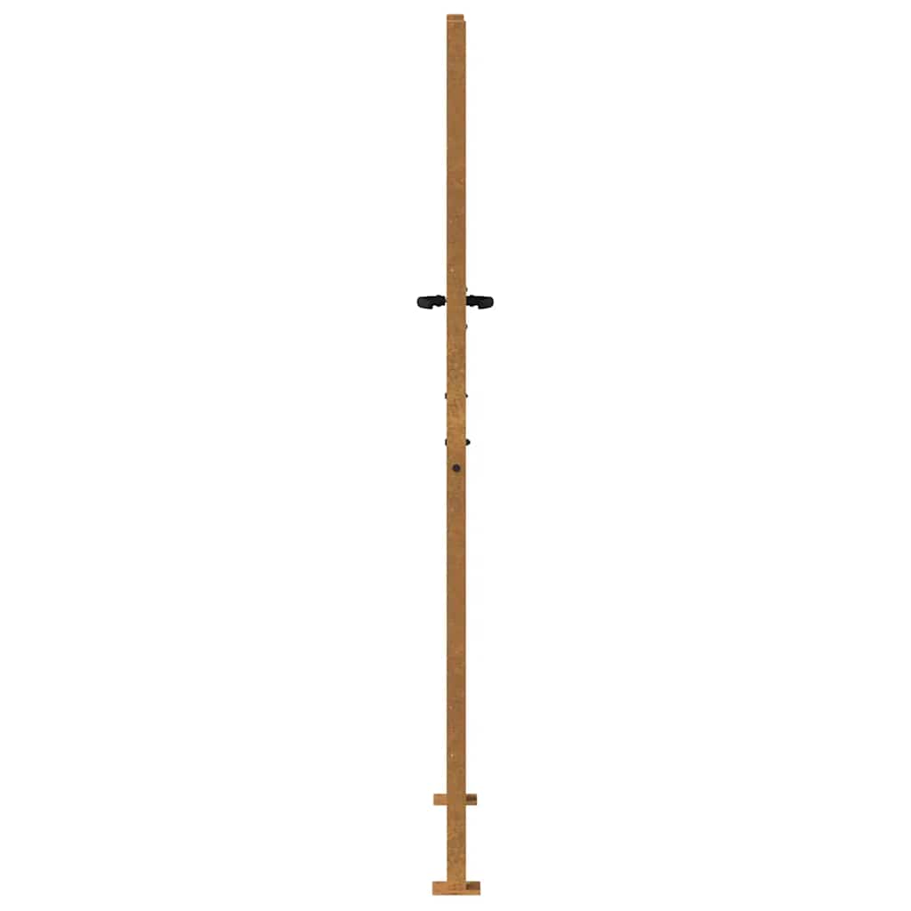 Gartentor 100x200 cm Cortenstahl Bambus-Design