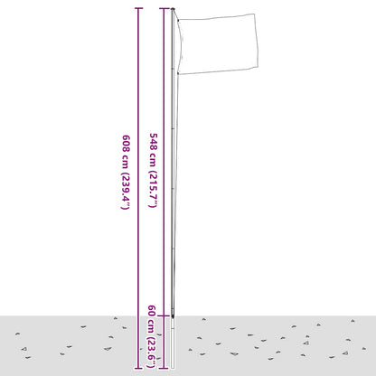 Belgische Flagge mit Mast 6,08 m Aluminium