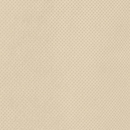 Wintervlies mit Reißverschluss 70 g/m² 2,36x2 m