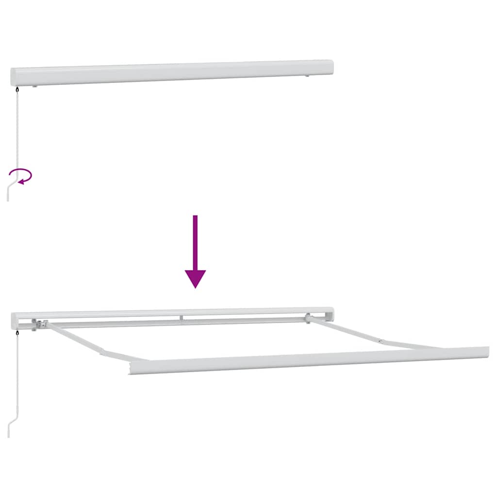 Markise Manuell Weinrot 300x250 cm