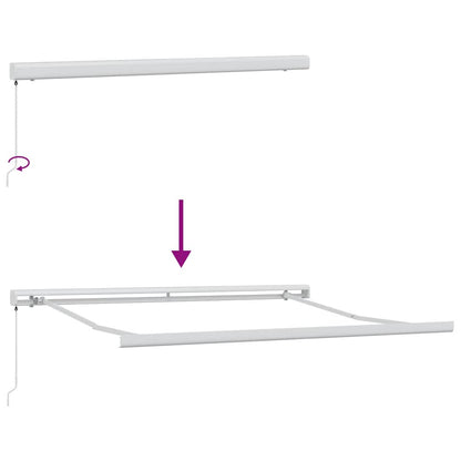 Markise Manuell Weinrot 300x250 cm