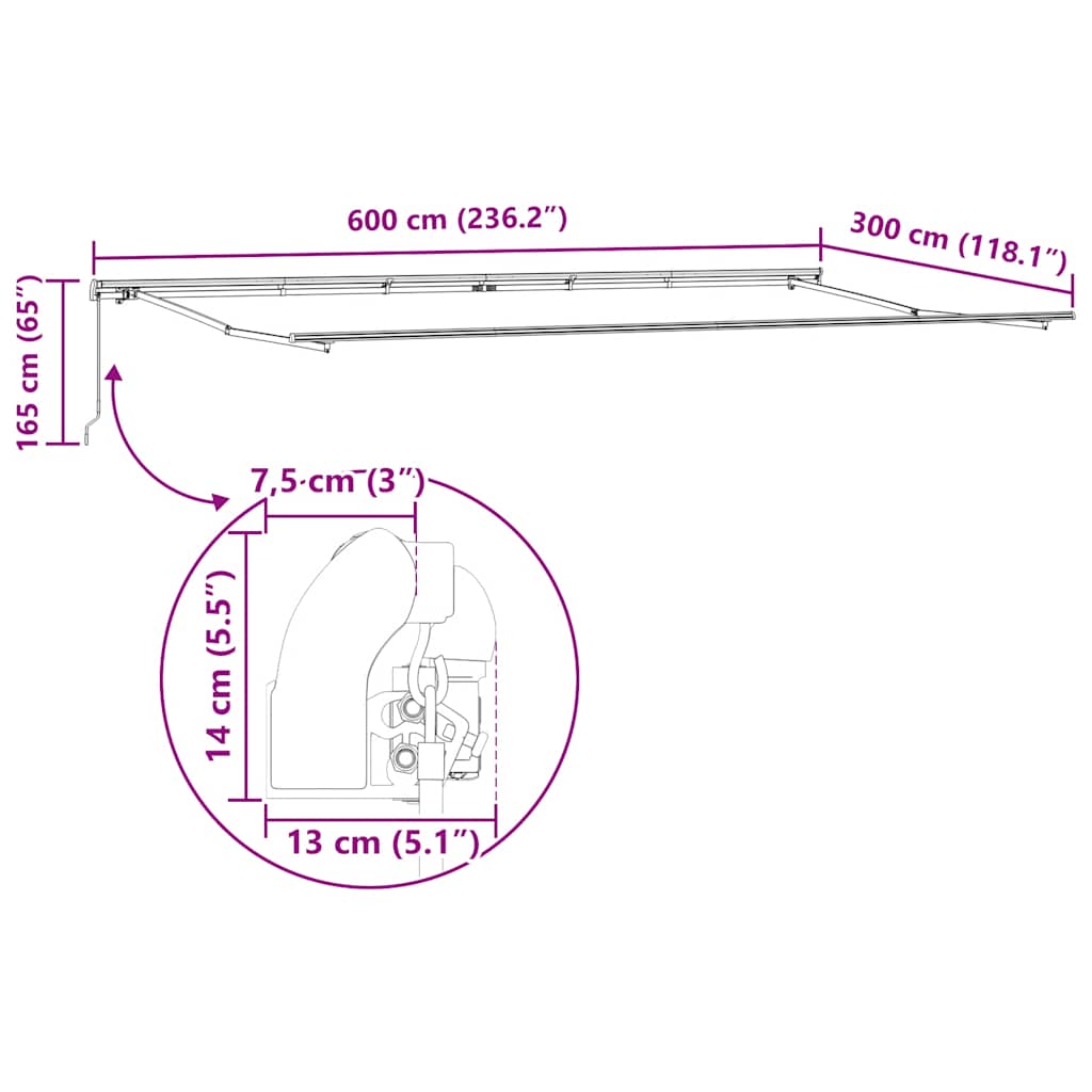 Markise Manuell Anthrazit & Weiß 600x300 cm