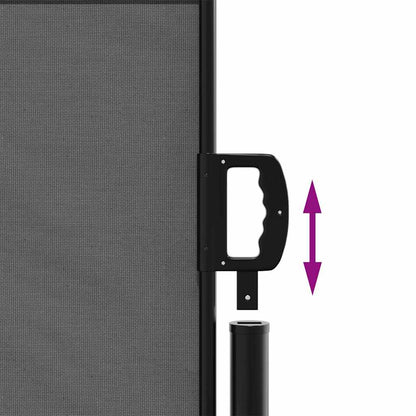 Ausziehbare Seitenmarkise Anthrazit 100x300 cm