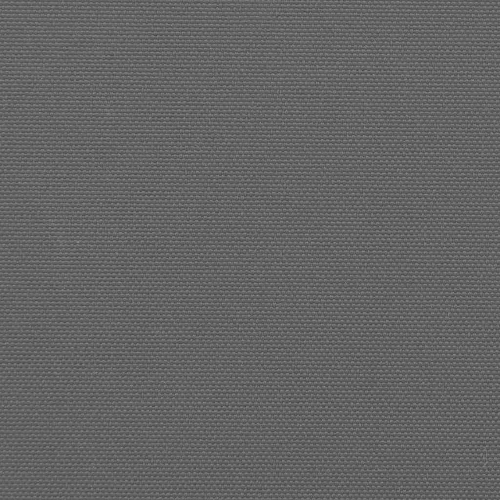 Ausziehbare Seitenmarkise Anthrazit 100x300 cm