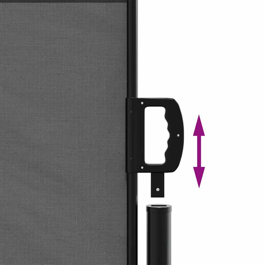 Ausziehbare Seitenmarkise Anthrazit 100x500 cm