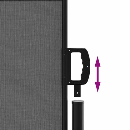 Ausziehbare Seitenmarkise Anthrazit 100x500 cm