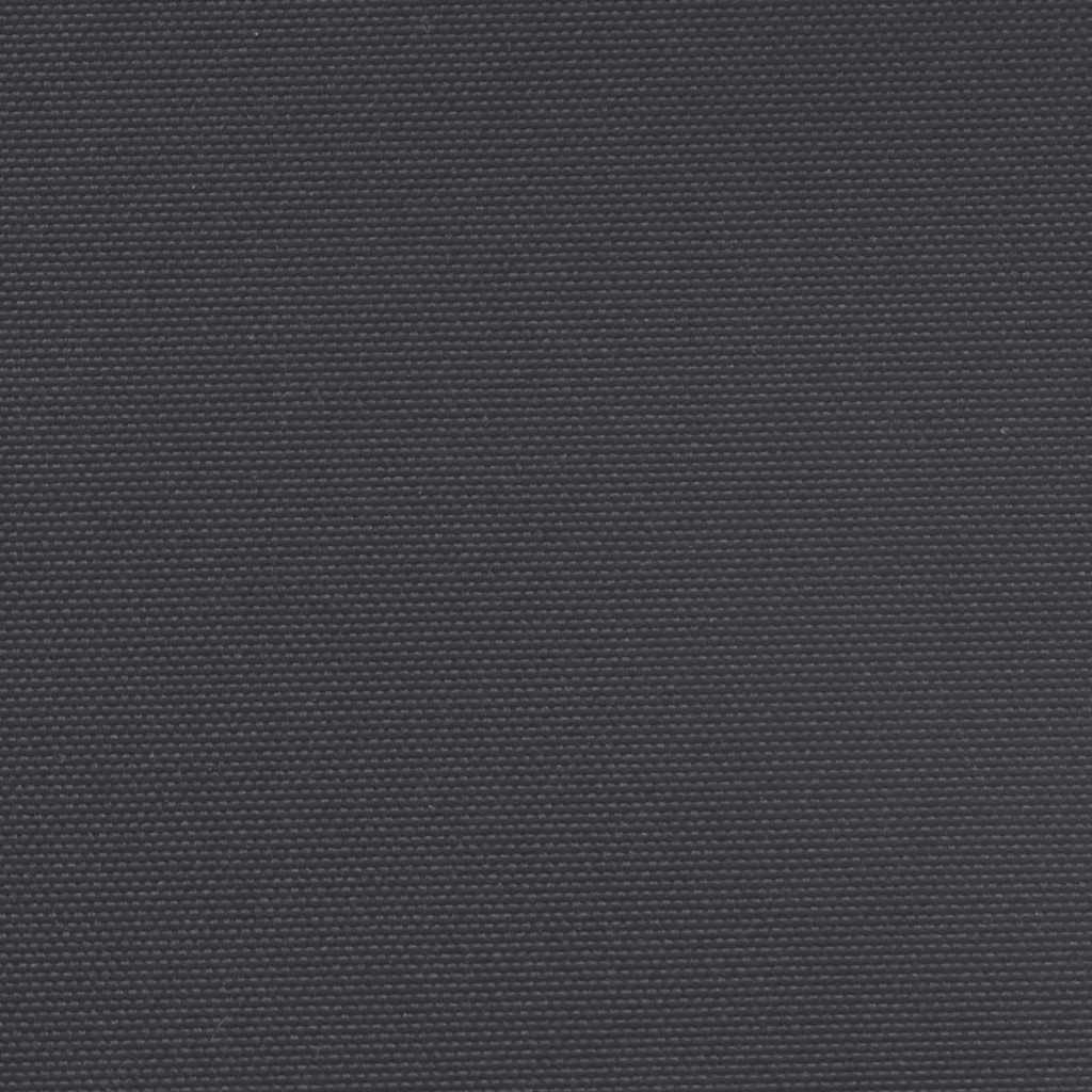 Seitenmarkise Ausziehbar Schwarz 160x600 cm