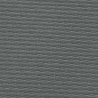 Seitenmarkise Ausziehbar Anthrazit 100x600 cm