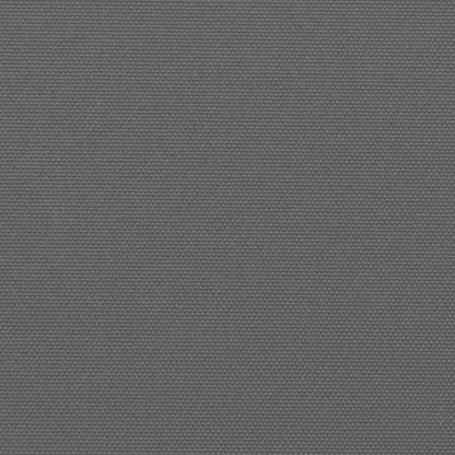 Seitenmarkise Ausziehbar Anthrazit 200x1000 cm