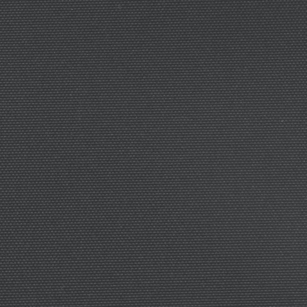 Seitenmarkise Ausziehbar Schwarz 160x1200 cm