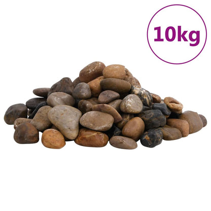 Polierte Kiesel 10 kg Mehrfarbig 2-5 cm