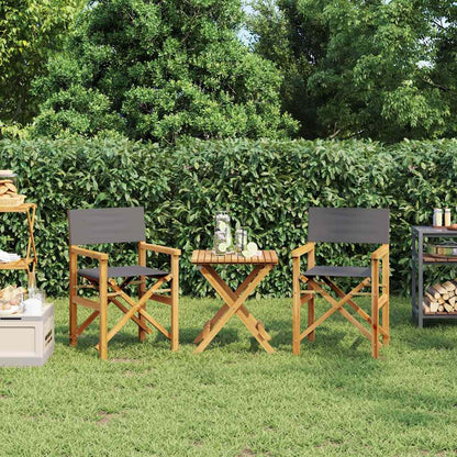 Regiestühle 2 Stk. Klappbar Grau Massivholz Teak