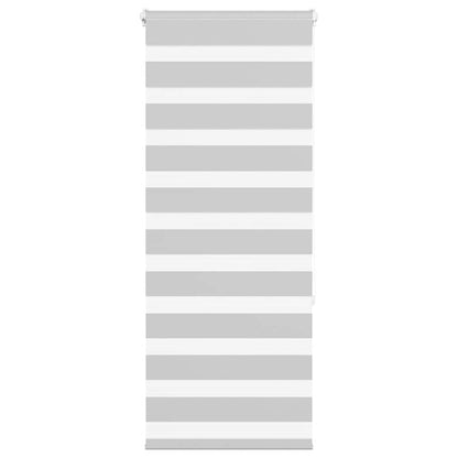 Doppelrollo Hellgrau 60x150 cm Stoffbreite 55,9 cm Polyester