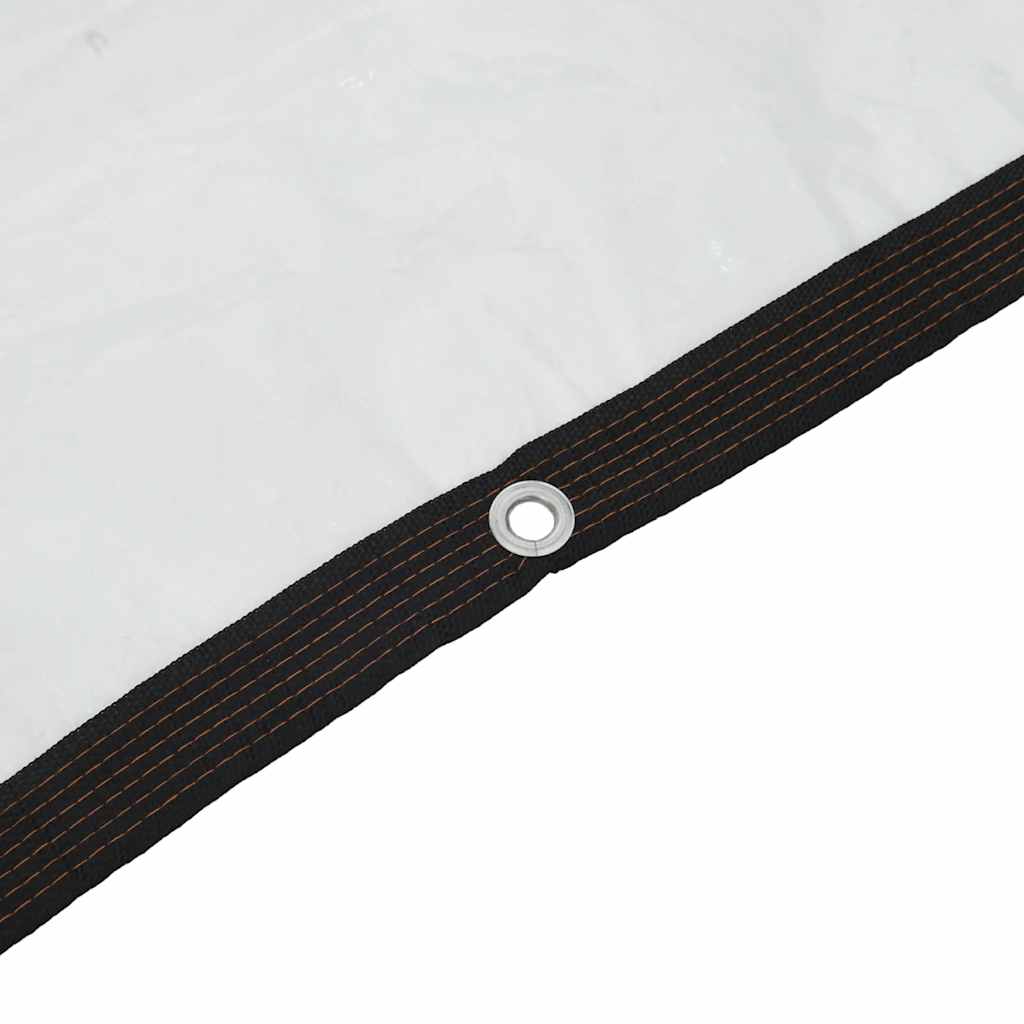 Transparente Plane mit Ösen 1x12 m Polyethylen