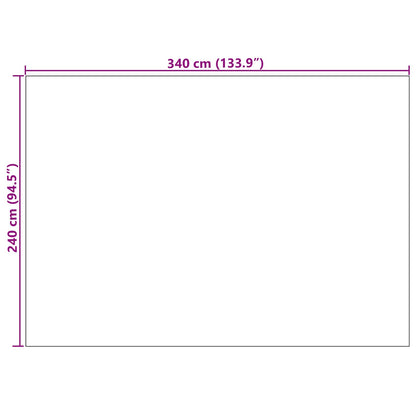 Bereichsteppiche PALMERAS Grün 340 x 240 cm Polyester