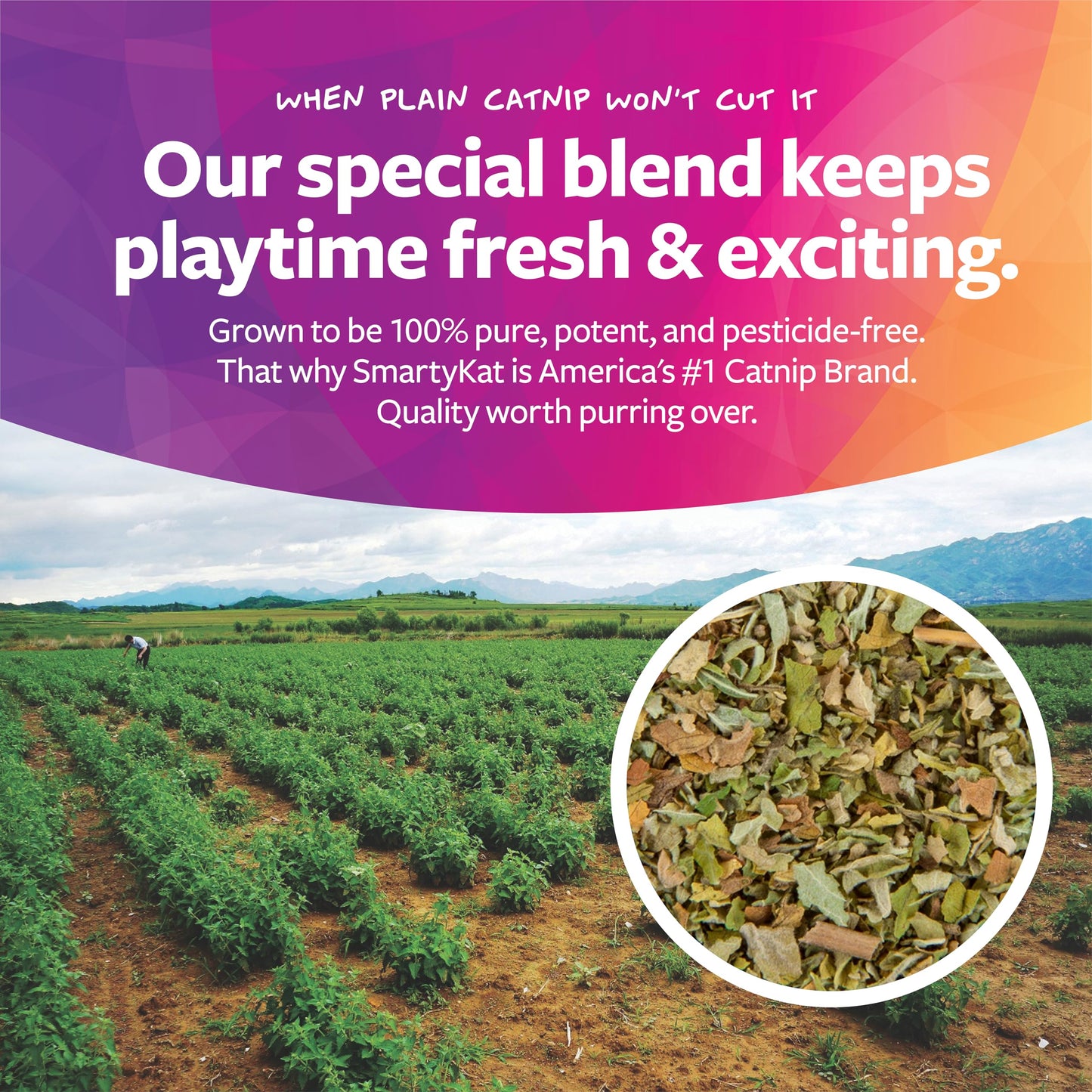 SmartyKat Leggy Llama Catnip Crinkly Plush Kicker Cat Toy, Soft Floppy Body for Wrestling & Bunny Kicks for Cats & Kittens