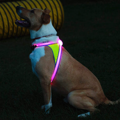 Noxgear LightHound - Revolutionary Illuminated and Reflective Harness for Dogs Including Multicolored LED Fiber Optics (USB Rechargeable, Adjustable, Lightweight, Rainproof) (Large)