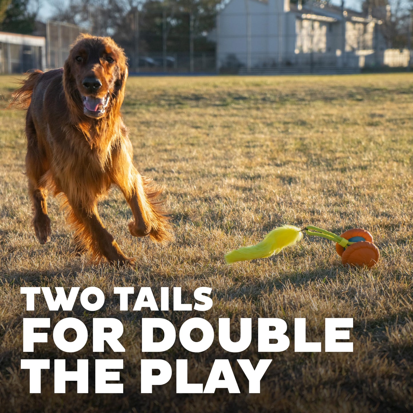 Outward Hound Tail Teaser Ersatzköder für Hunde-Teaserstab, Fuchs 